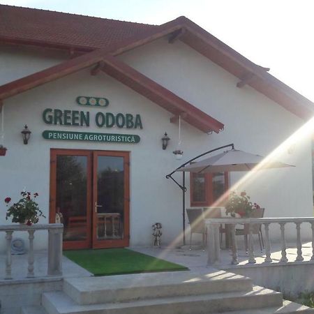 Pensiunea Agroturistica Green Odoba Sătuc Exterior foto