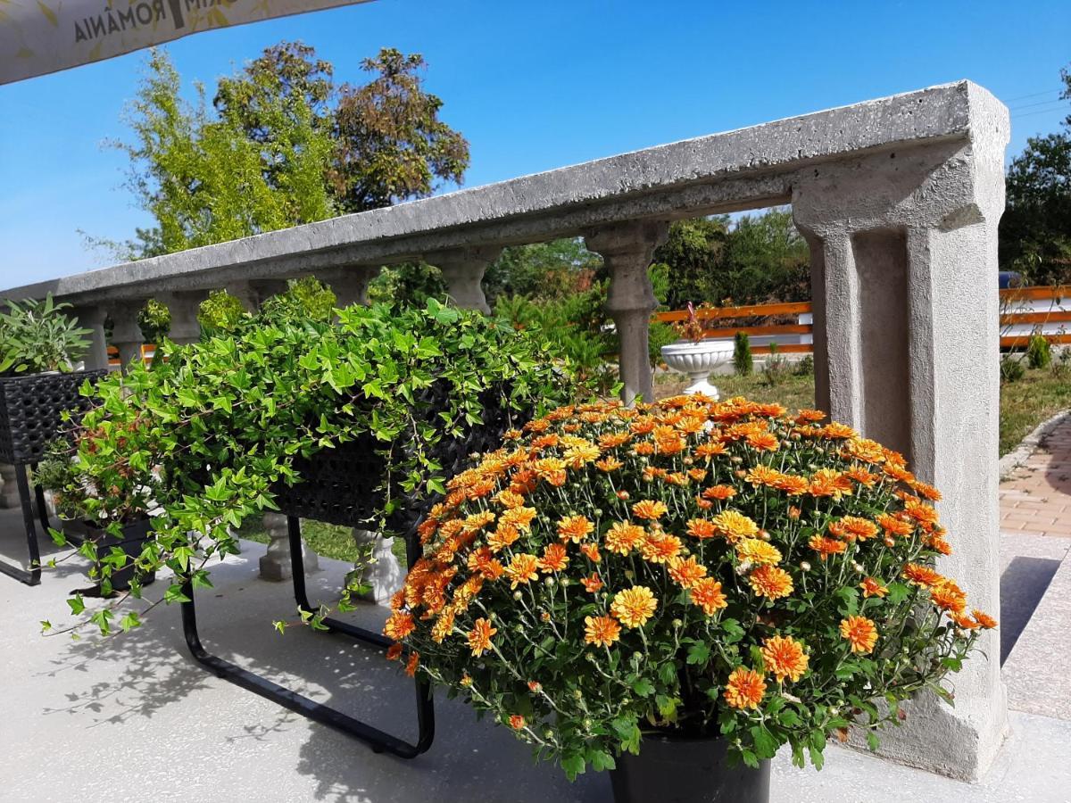 Pensiunea Agroturistica Green Odoba Sătuc Exterior foto