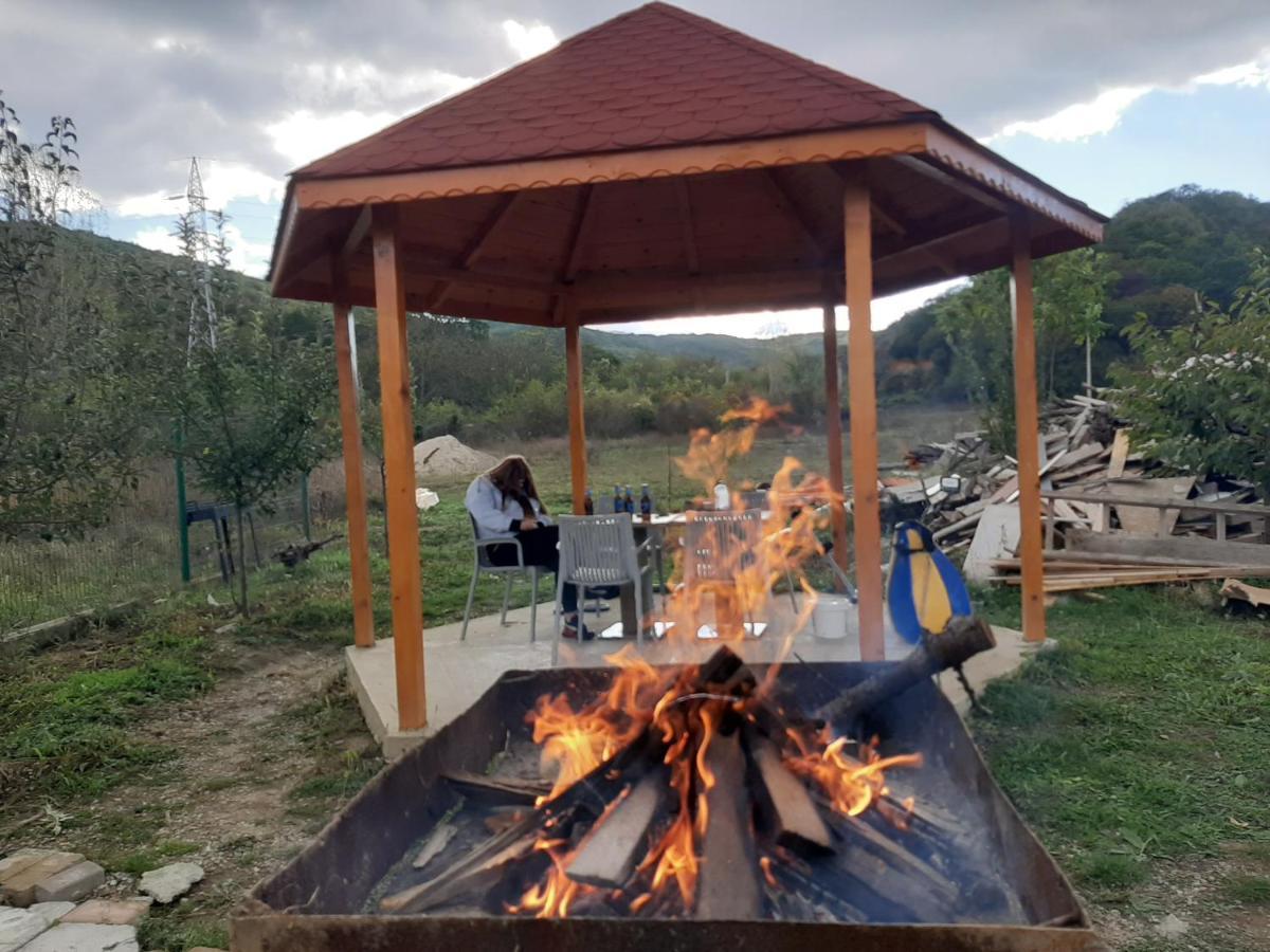Pensiunea Agroturistica Green Odoba Sătuc Exterior foto