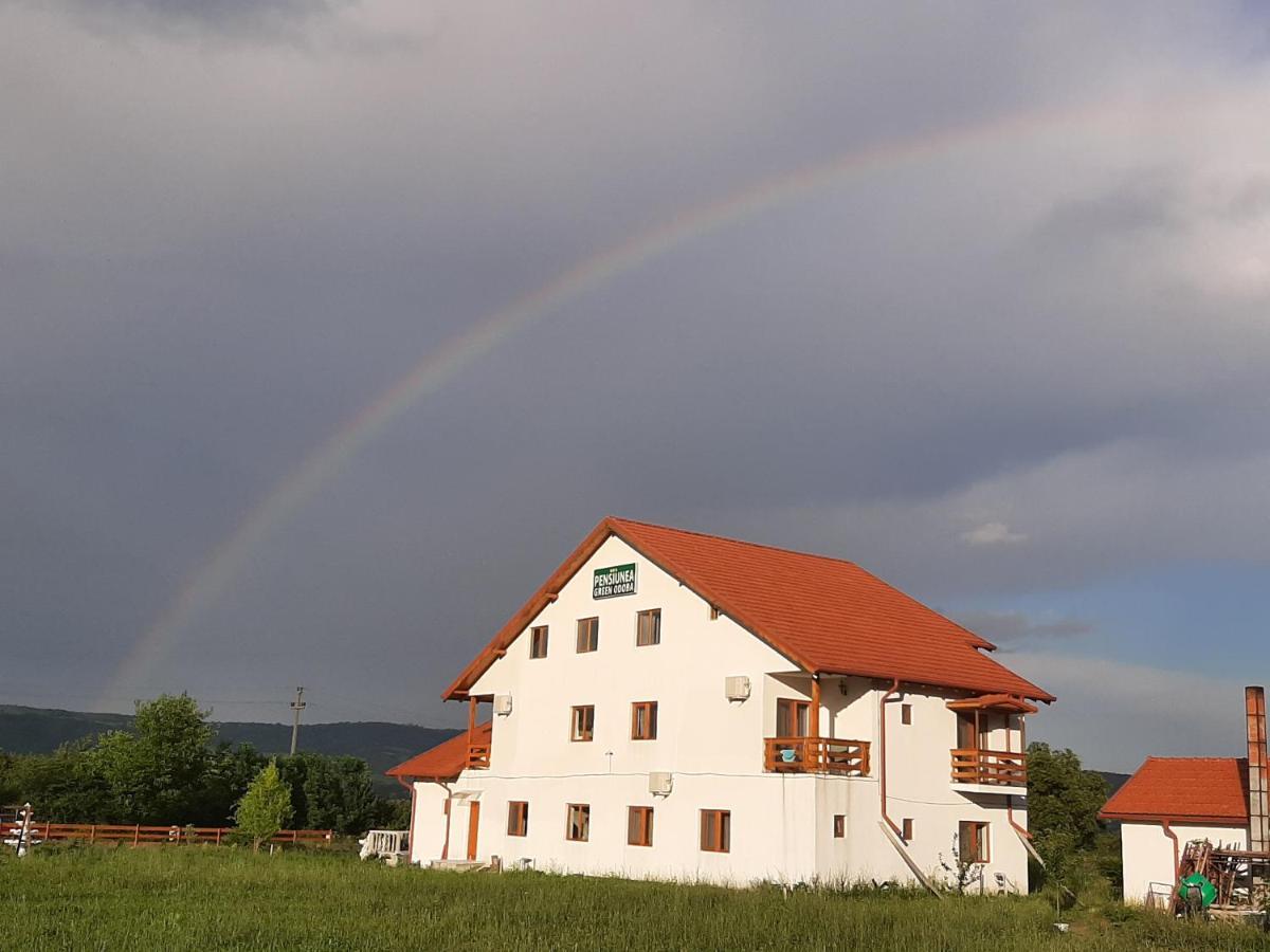 Pensiunea Agroturistica Green Odoba Sătuc Exterior foto