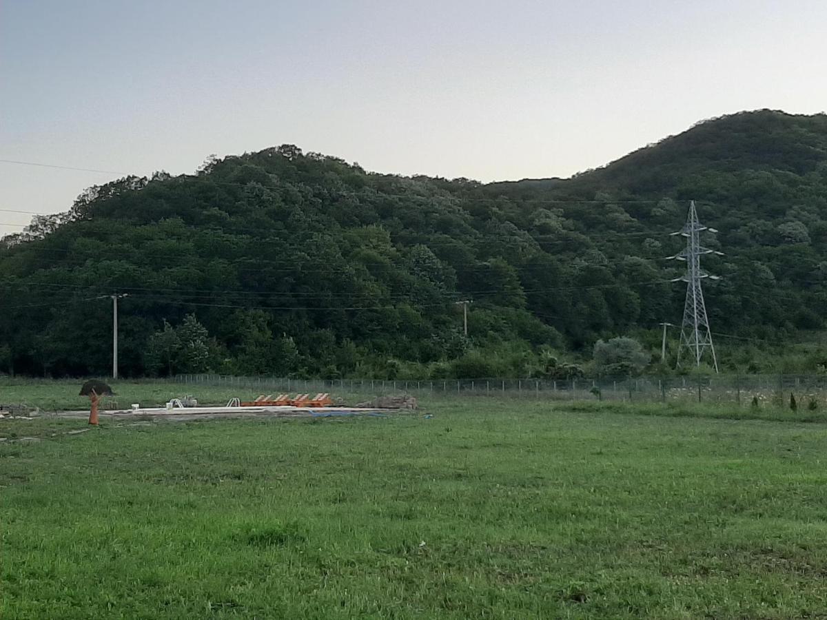 Pensiunea Agroturistica Green Odoba Sătuc Exterior foto