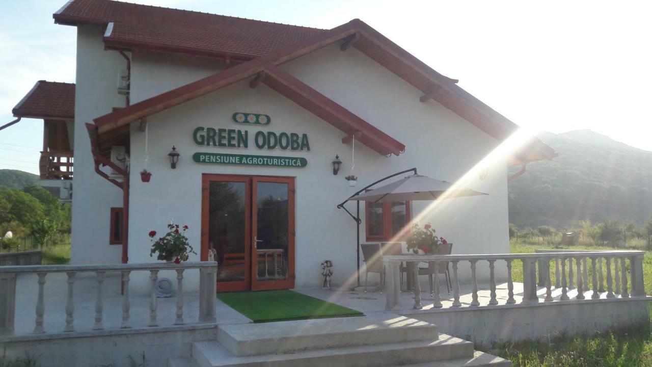 Pensiunea Agroturistica Green Odoba Sătuc Exterior foto