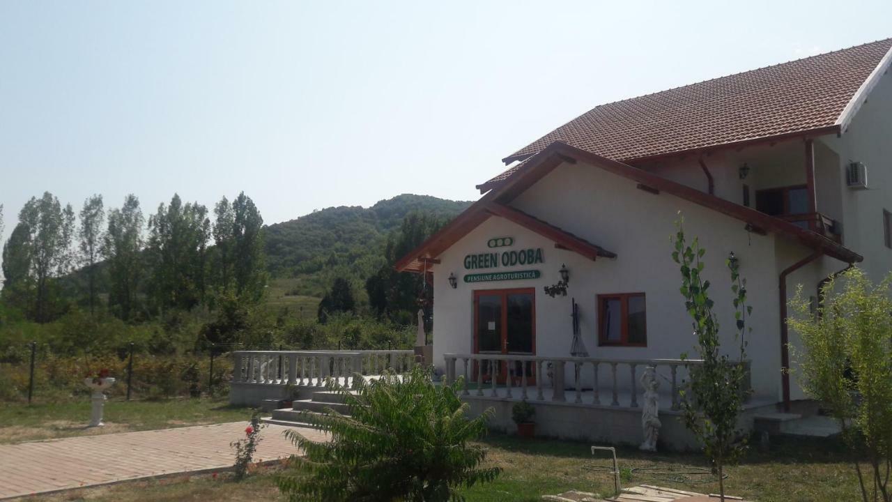 Pensiunea Agroturistica Green Odoba Sătuc Exterior foto