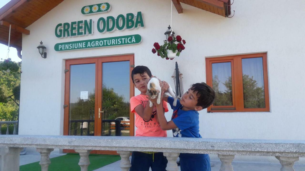 Pensiunea Agroturistica Green Odoba Sătuc Exterior foto